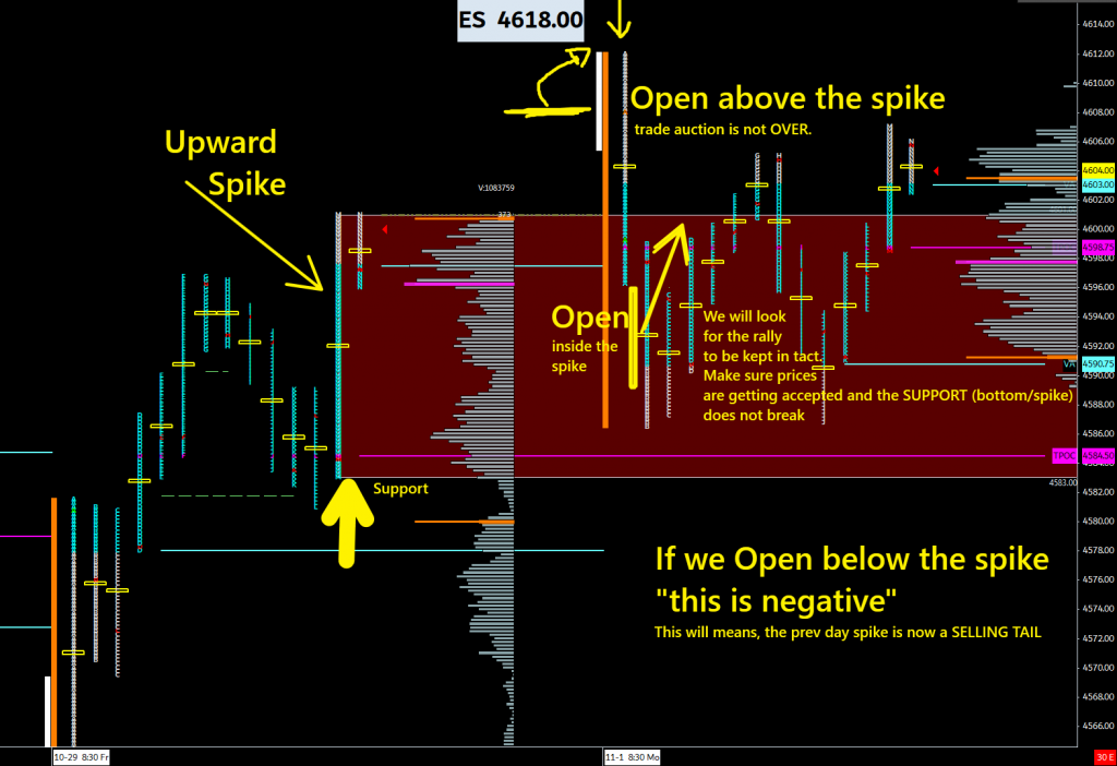 Carlos Molina - Founder, Order Flow University - Market Profile Spikes